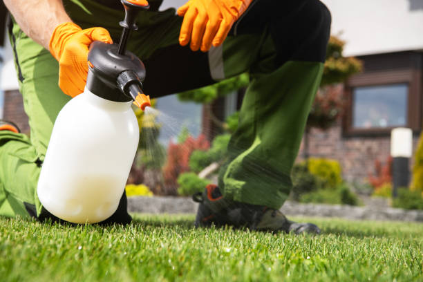 Wildlife Control Services in Poolesville, MD