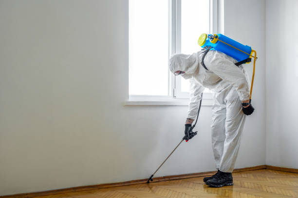 Best Flea Control Services  in Poolesville, MD